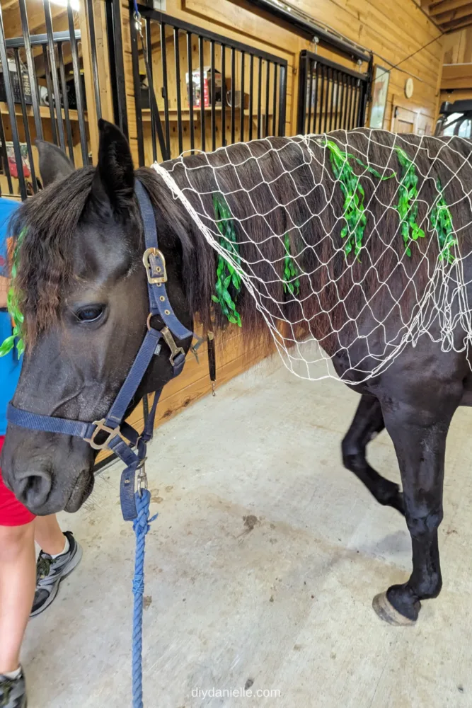 Turning my horse around to walk her outside. She has fake seaweed in her mane and forelock and a fishnet draped over her.