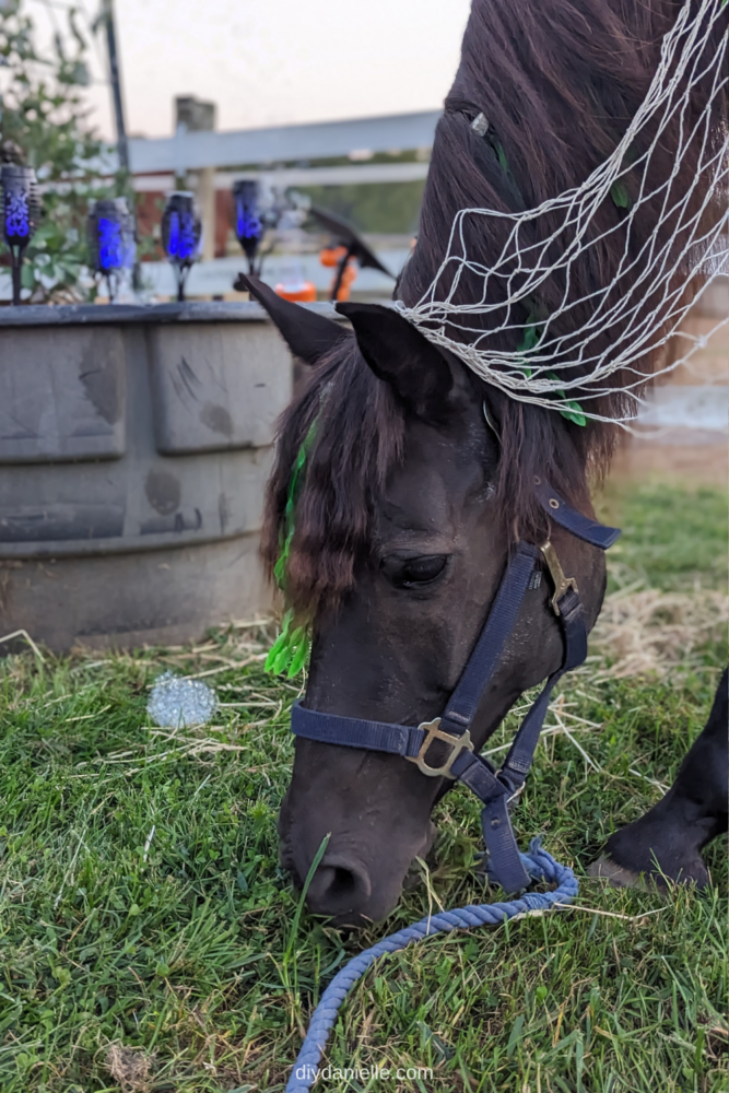 DIY Horse Costume: Kelpie Halloween Costume - DIY Danielle®