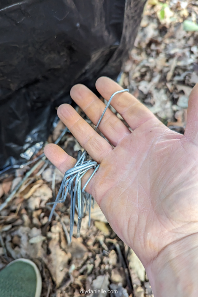 Landscape staples to hold the tomato cage down against the wind.