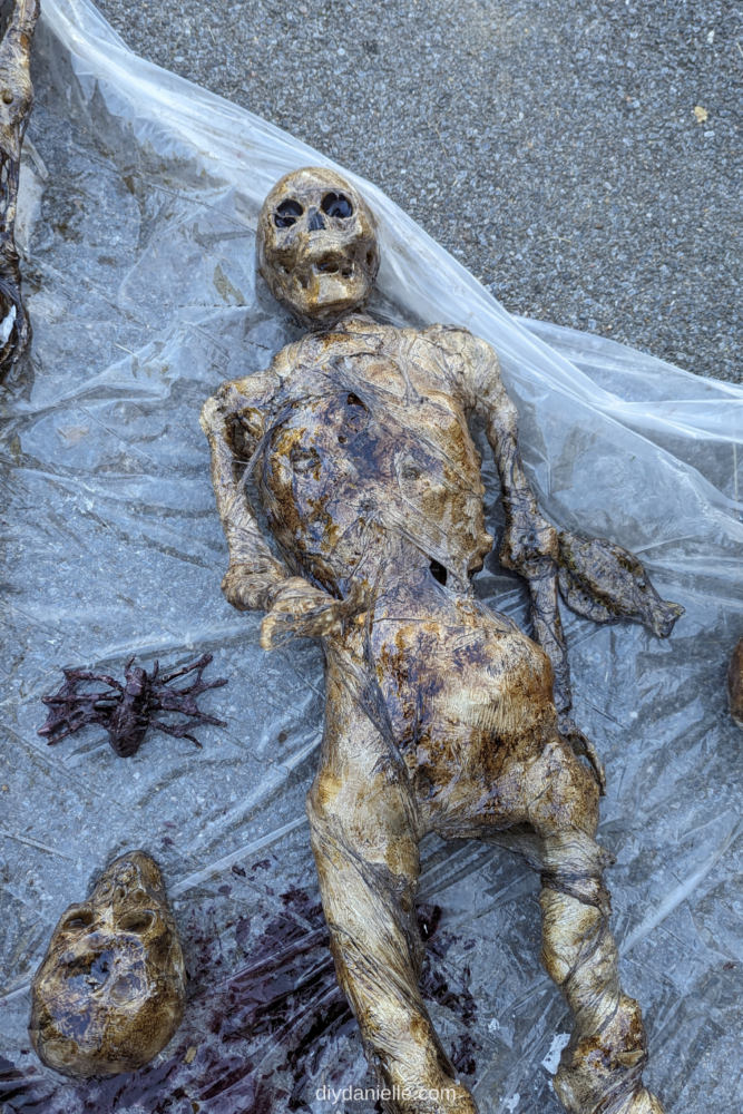 This skeleton was corpsed with Varathane Classic Penetrating Wood Stain: Provincial
