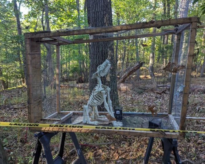 Skeleton dog that howls inside a faux cage