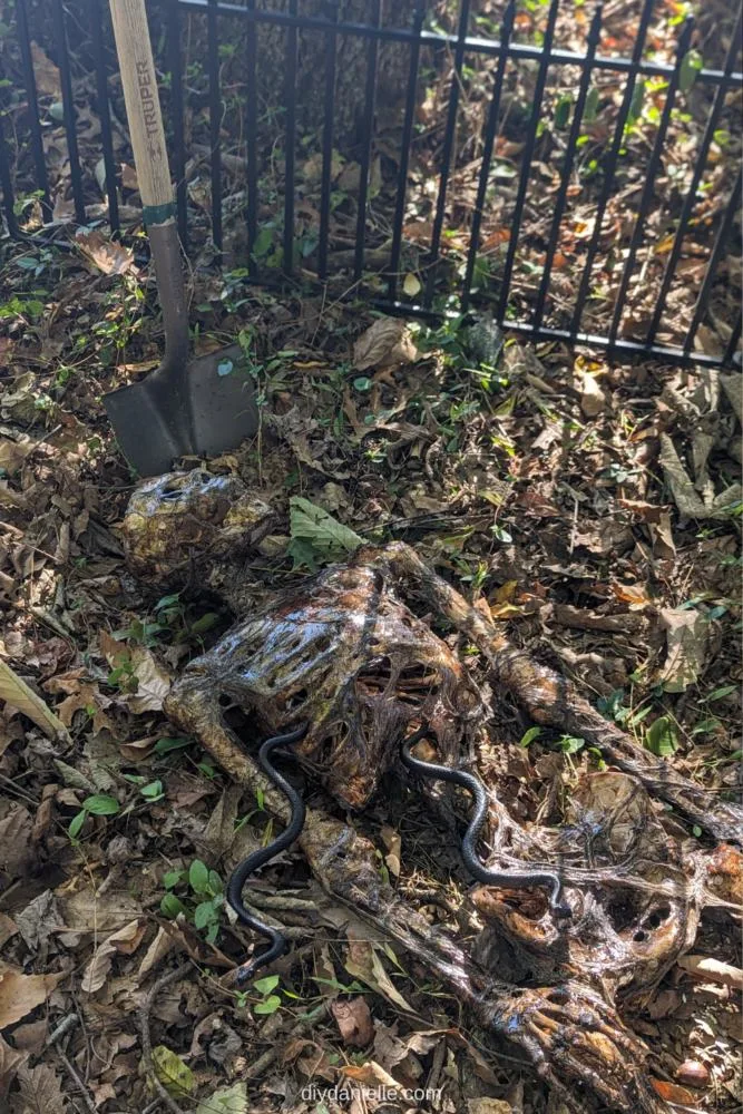 Corpsed skeleton with a shovel and plastic bugs/snakes coming out of it. Halloween decoration.