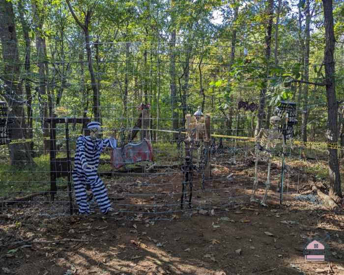 The jail area from our Halloween trail with cattle panels as the 'cage'