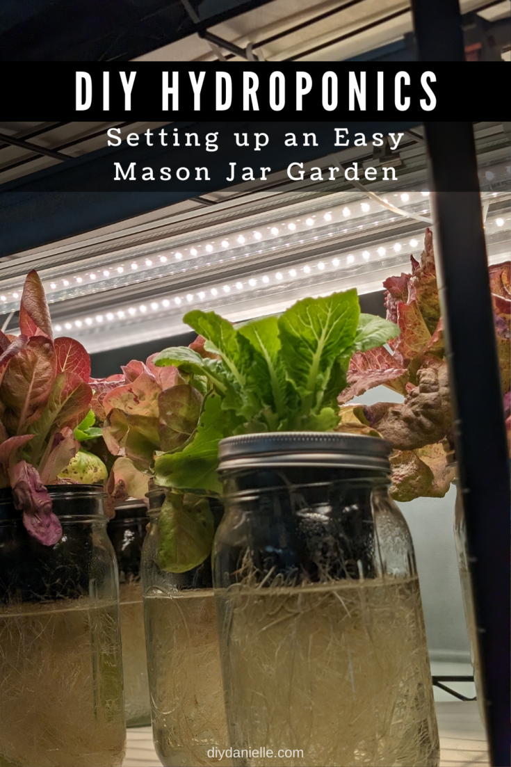 DIY Hydroponics: Setting up an Easy Mason Jar Garden - DIY Danielle®