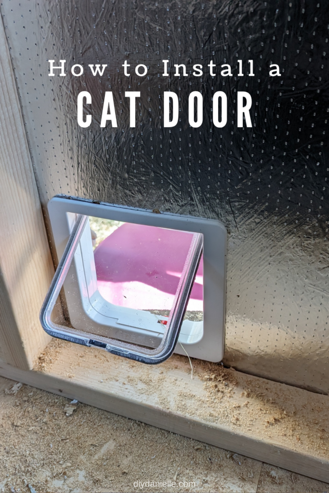 An interior view of the cat door installed inside of the shed.  Text says "How to install a cat door."