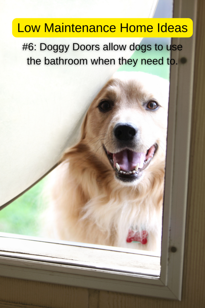 Low maintenance home ideas: doggy doors allow dogs to use the bathroom when they need to. No more accidents!