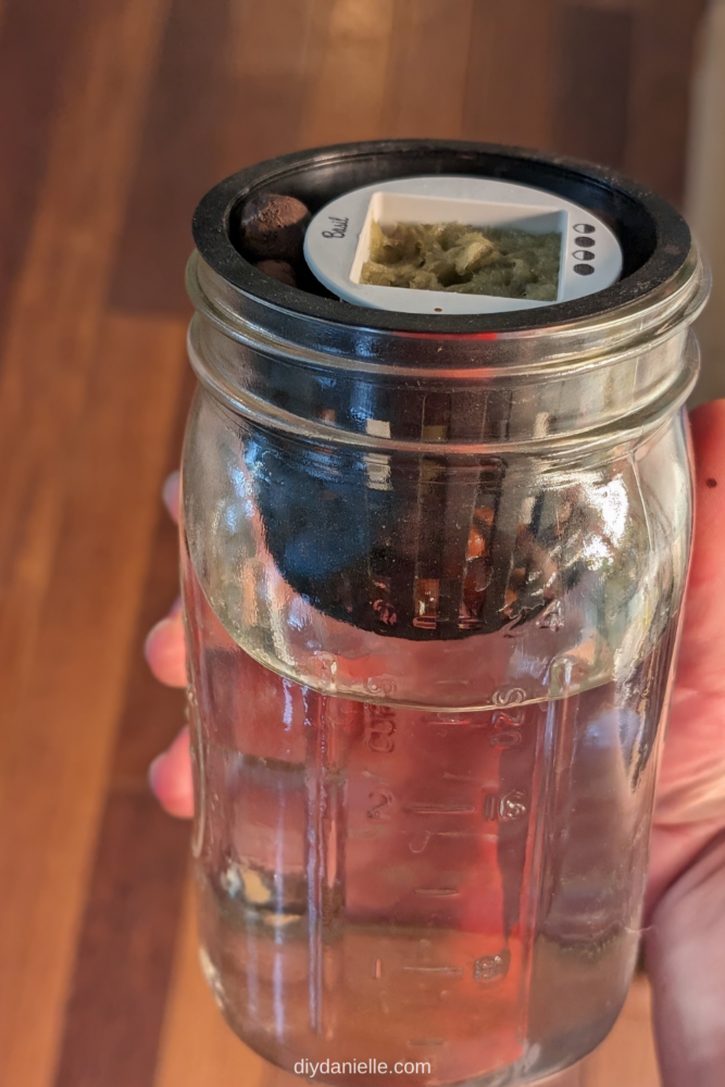 A closer look at the inside of the hydroponic setup inside the mason jar: a small pot filled with Rockwool nestled inside a net pot filled with lecca or clay pebbles.
