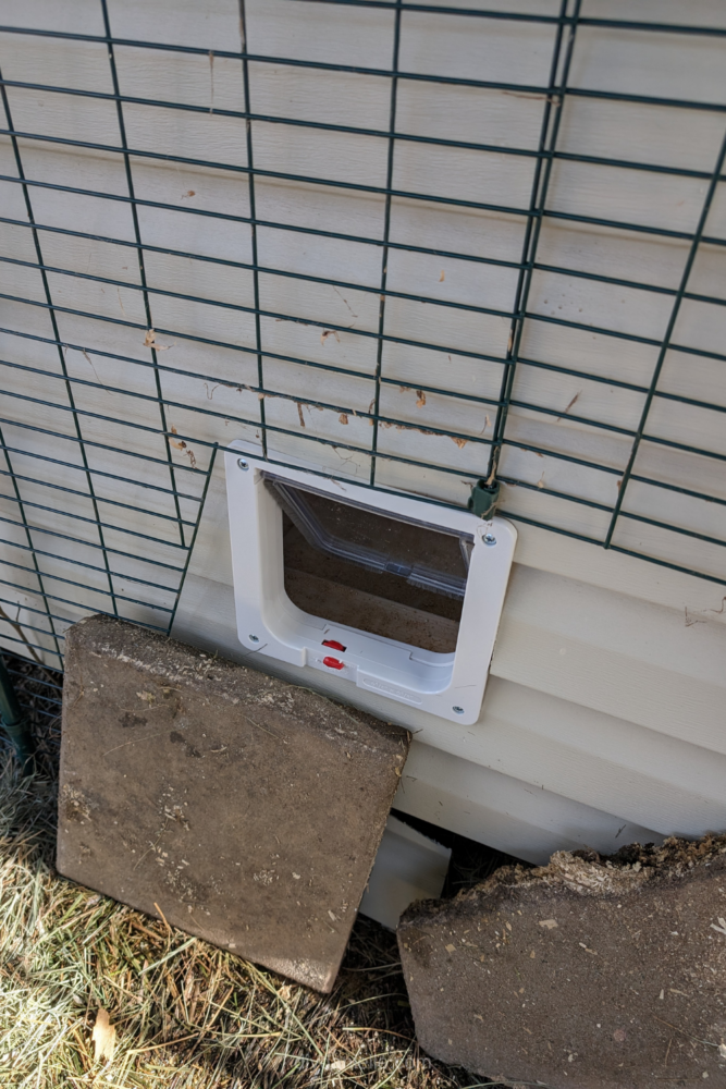 A view of the installed cat door kit from the outside of the shed.

