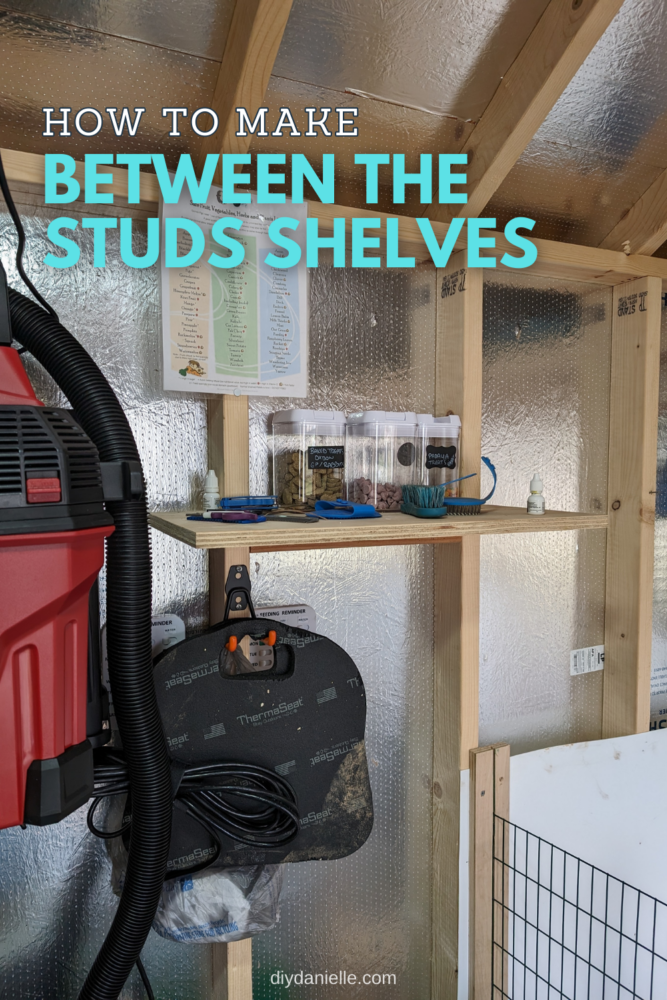 How to Make Between the Studs Shelves: Photo of a basic 3/4" plywood shelf attached to studs inside a small shed. The shelf is holding some treats for guinea pigs and rabbits.