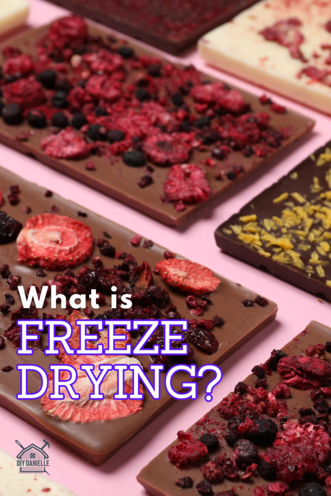 What is Freeze Drying? Photo behind text is boards of cut up and freeze dried fruits in blues and pink hues- blueberries, strawberries, raspberries.
