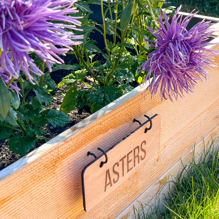 Image for DIY Engraved Garden Labels