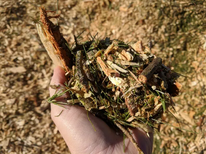 Wood chip mulch spread around plants in a sustainable food forest garden.
