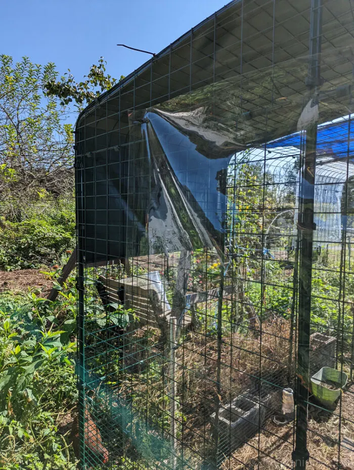 a clearer look of the clear tarp that has been installed in a metalic green house. surrounded with plants.