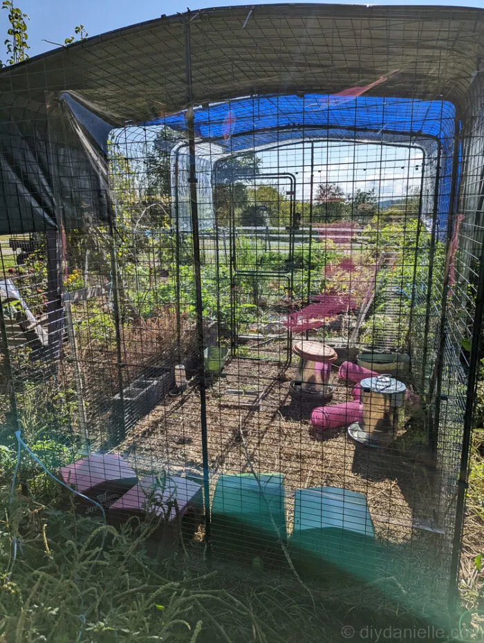 a clearer look of the clear tarp that has been installed in a metalic green house with some materials inside the cage.