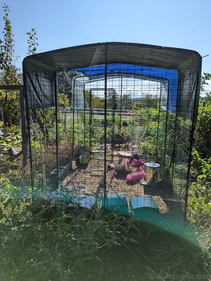 a clearer look of the clear tarp that has been installed in a metalic green house. surrounded with plants.