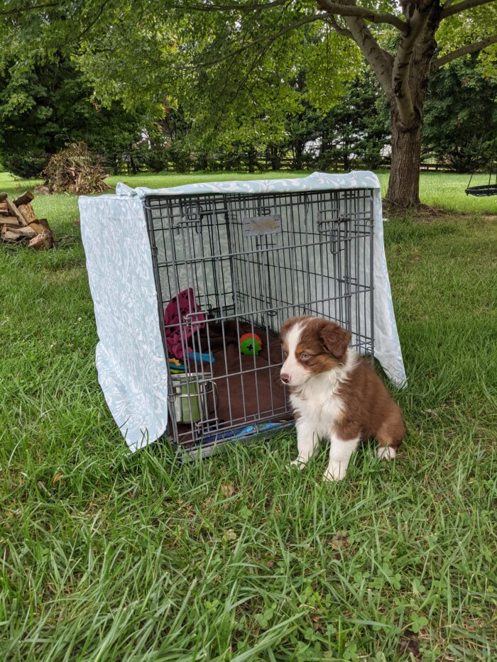 DIY dog crate cover sewn with patterned fabric, neatly fitted over a wire dog crate in a living room.