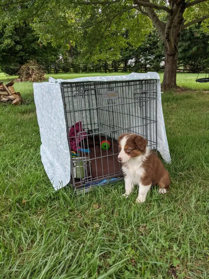 DIY dog crate cover sewn with patterned fabric, neatly fitted over a wire dog crate in a living room.