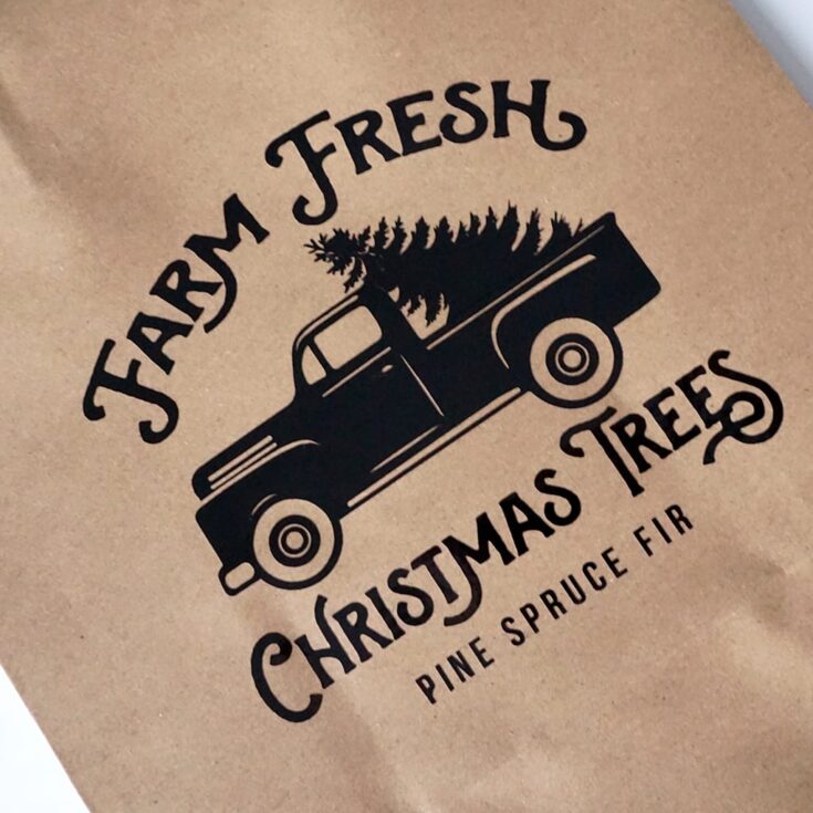 Image for DIY Gift Bags with Cricut Maker