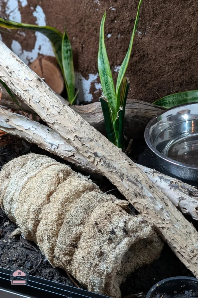 DIY Snake Hide made with luffa and PVC. The photo is of the completed hide inside the ball python enclosure. There's a large water bowl in the back, three large sticks that have the bark removed, a few small snake plants, and bioactive substrate (dirt) under the new humidity hide.