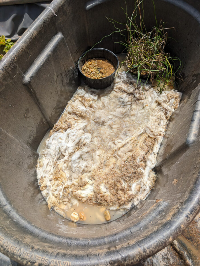Layer of large rocks followed by wool inside the bog filter, added for additional filtration.