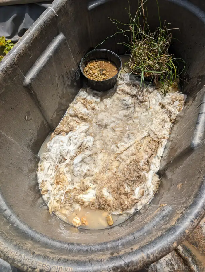 Layer of large rocks followed by wool inside the bog filter, added for additional filtration.