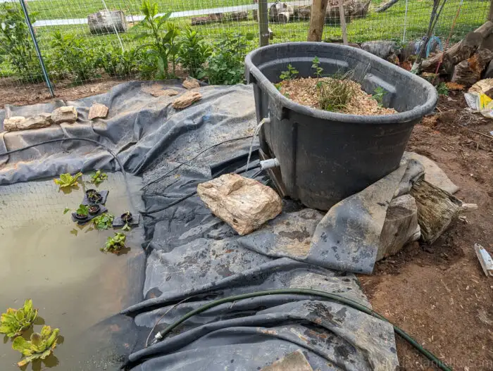 Pump tubing connected to the bottom of the bog filter trough before adding surrounding rocks