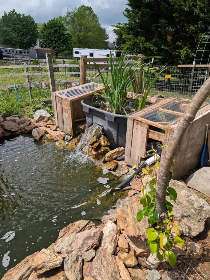 One year after installation, the bog filter is thriving, with plants fully established and the water flowing smoothly