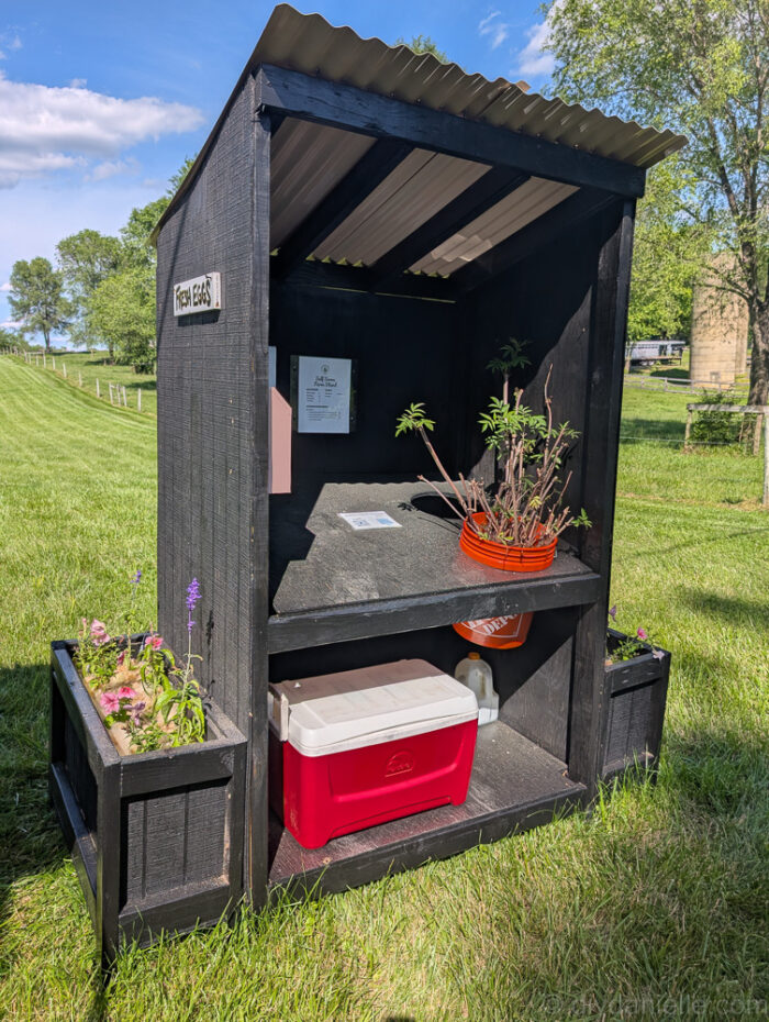 Painted wooden farm stand with bright flowers planted, set up roadside for selling produce or decor