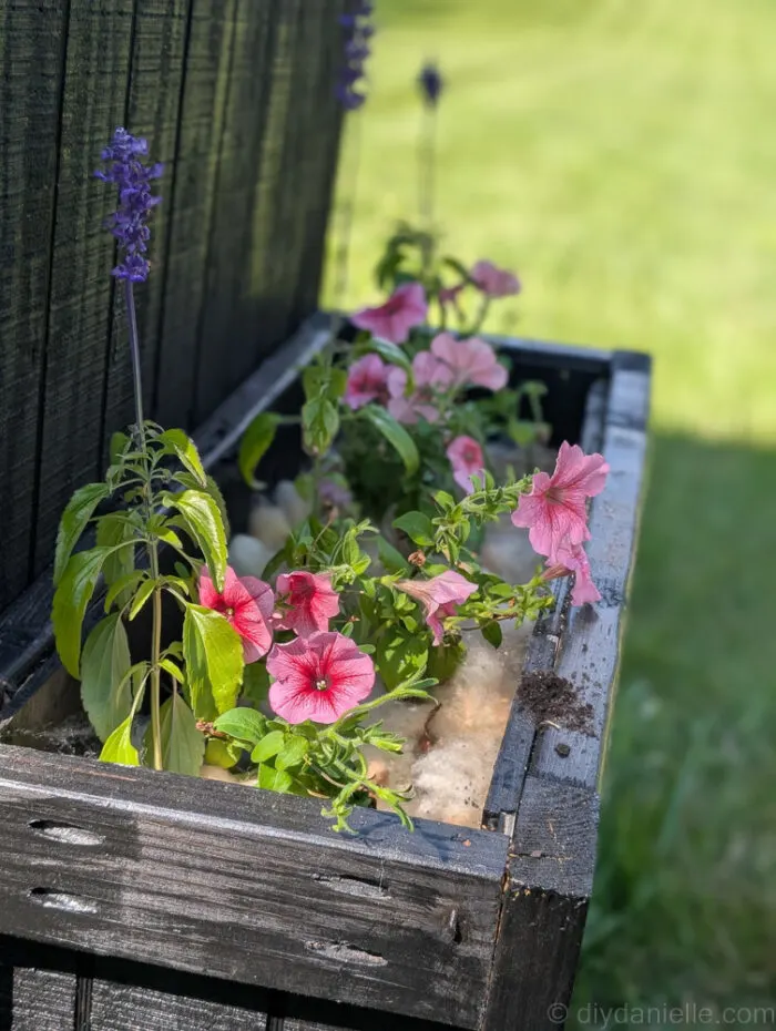 DIY farm stand at the curb, fully assembled with colorful flowers in attached planters, creating a charming and inviting display.