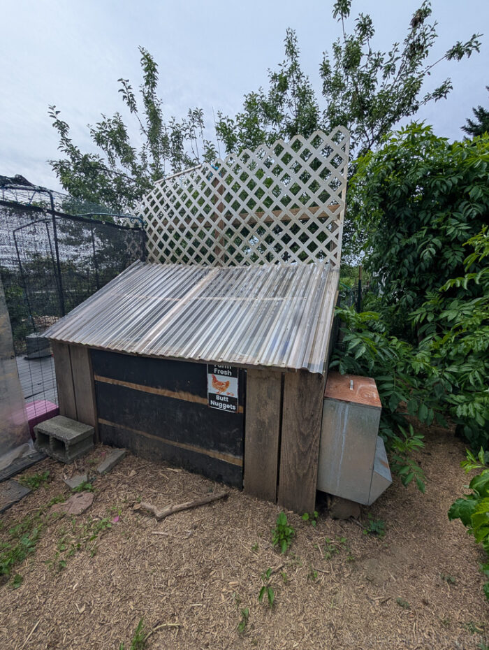 DIY chicken feed shed with pieced-together lid and replacement hinges.