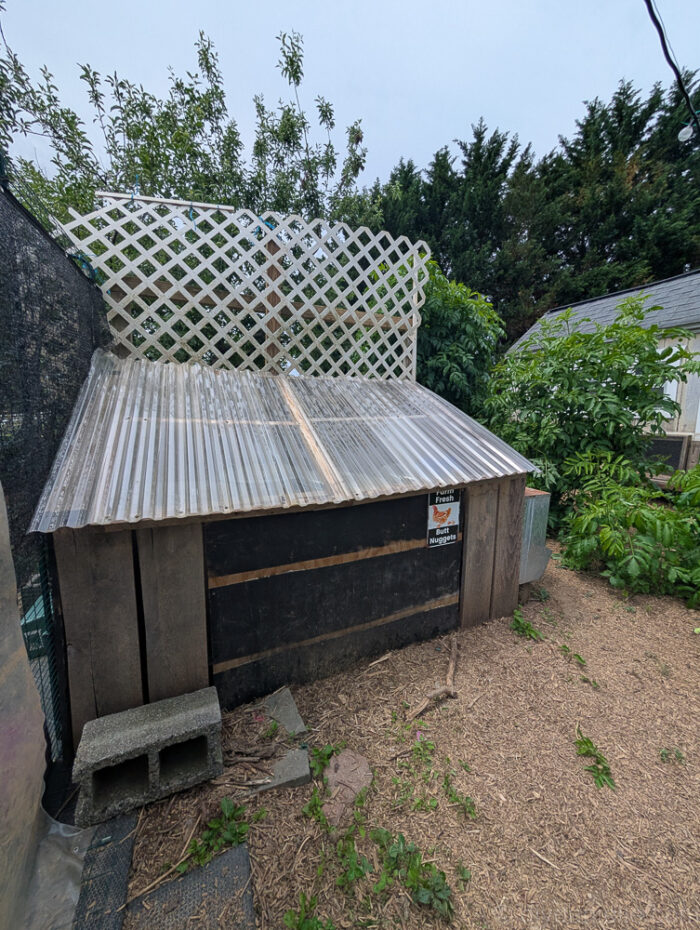 Gas strut installed on DIY feed shed lid for safety and soft closing.