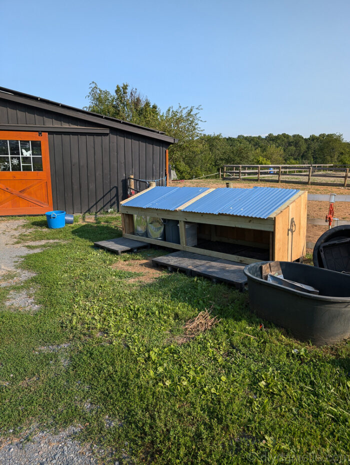 In-progress photo of a large DIY feed shed build for horse feed and farm supply storage.

