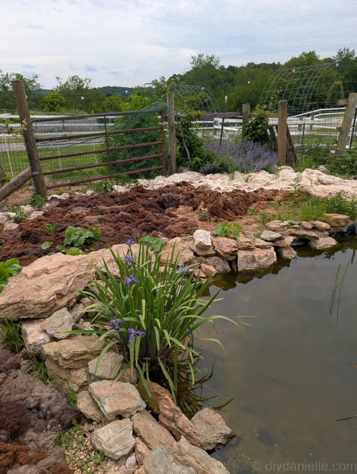 Backyard pond surrounded by flowers, providing irrigation for the garden.