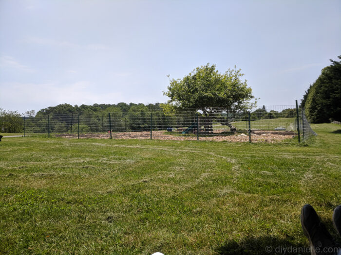 No-climb horse fencing with T-posts surrounding a garden to prevent deer access.