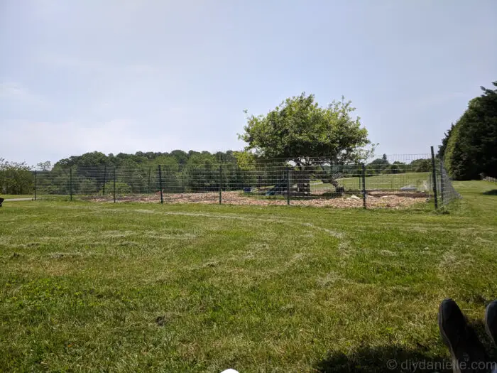 No-climb horse fencing with T-posts surrounding a garden to prevent deer access.