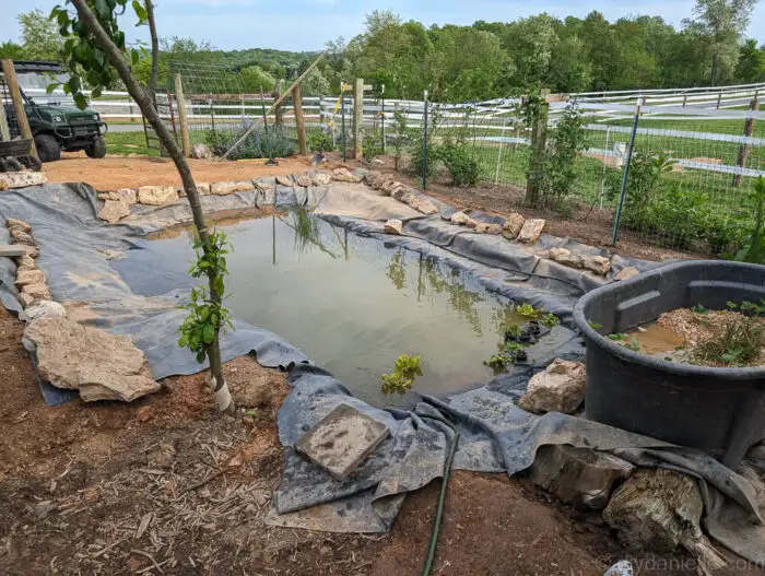 Backyard pond filled with water, showing installed liner and bog filter trough at one end.