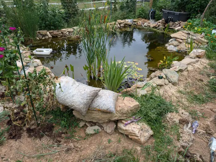 Pond surrounded by lush foliage and rocks, creating a natural, serene water garden environment.