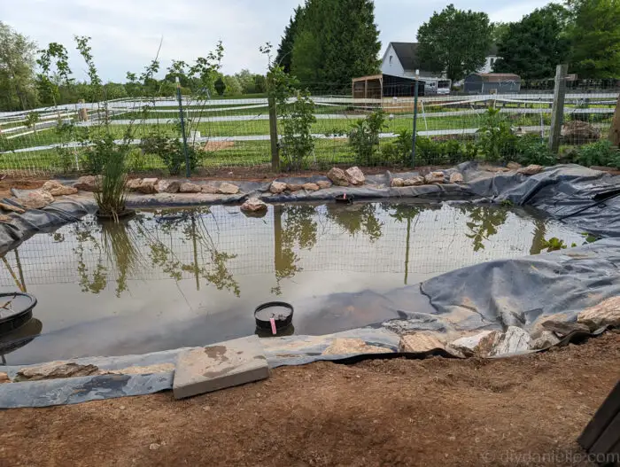 Running the bog filter in the pond, water flowing through the filtration system