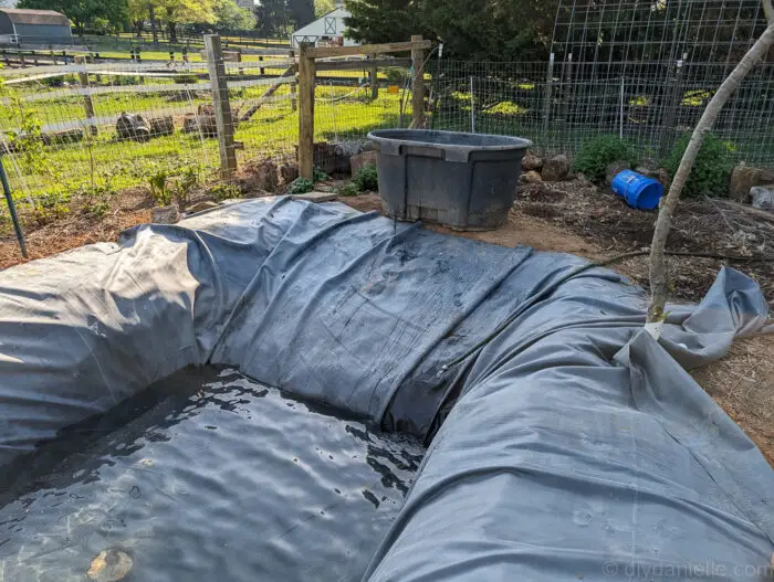 Placing rinsed gravel and positioning the bog filter trough near the pond liner to ensure proper water flow back into the pond.