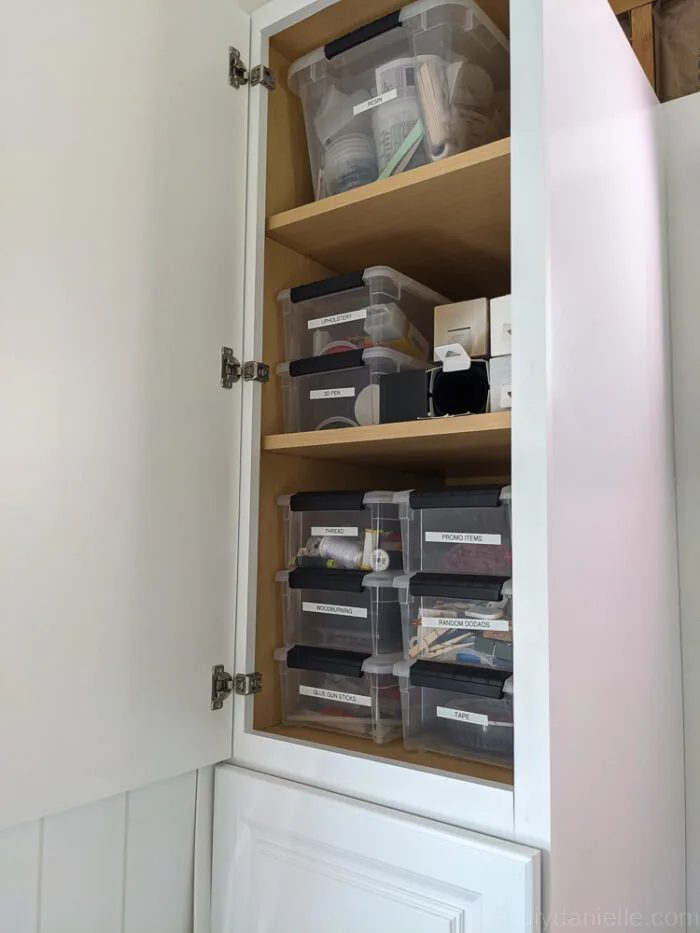 Cabinet with additional plywood shelves and brackets