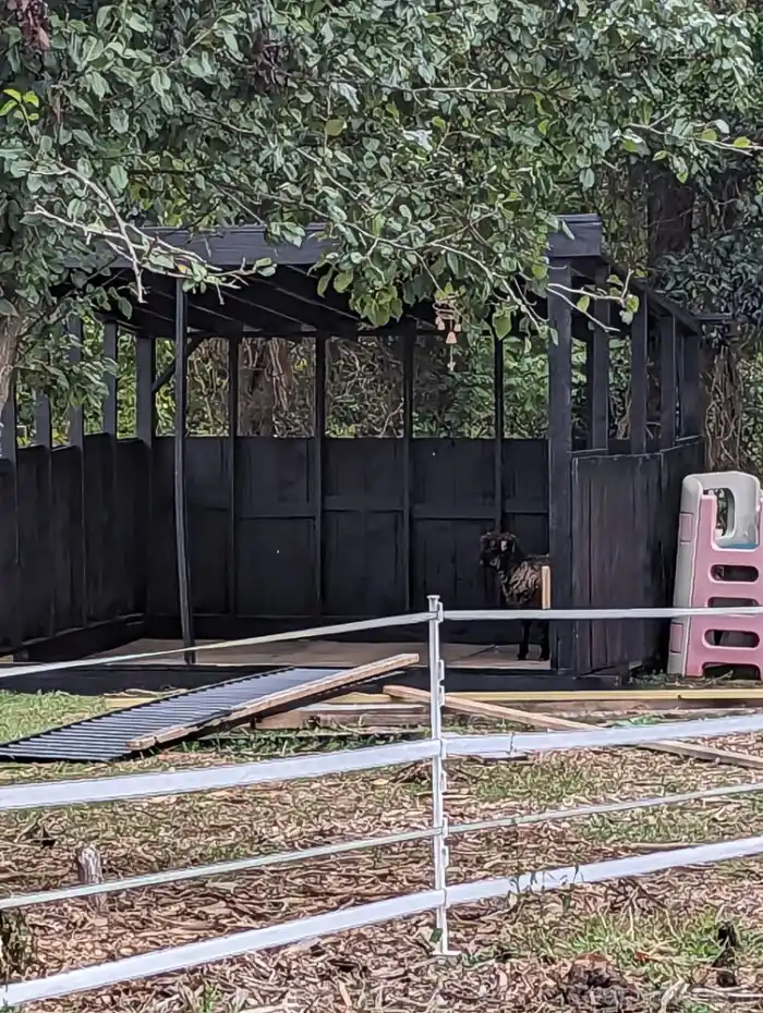 Wooden run-in shed with metal roof fully installed, standing on a grassy area.