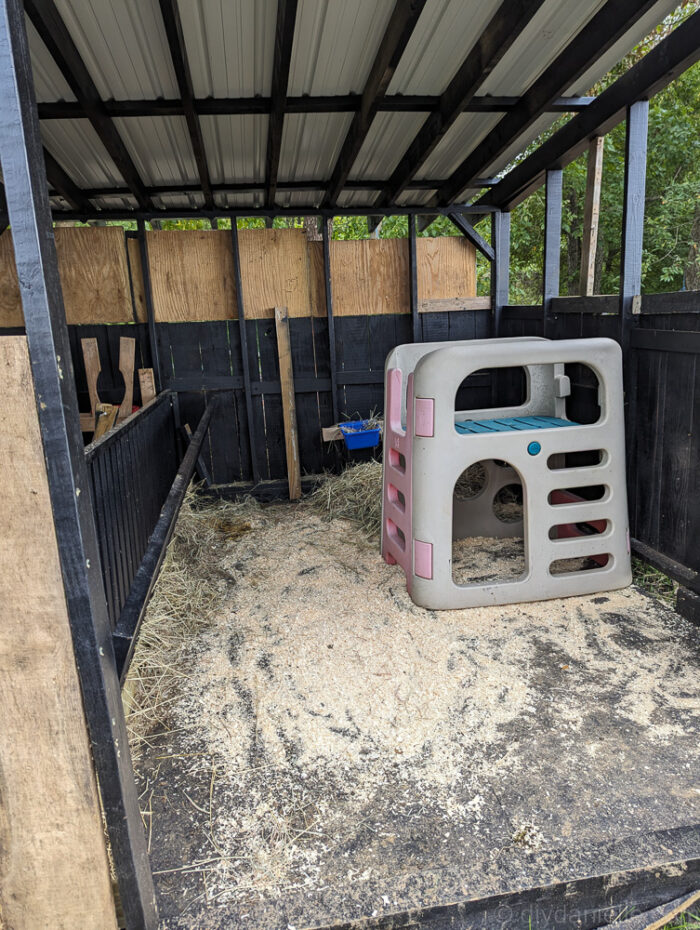  Outdoor fenced run area connected to a wooden run-in shed, providing space for goats and sheep to graze.