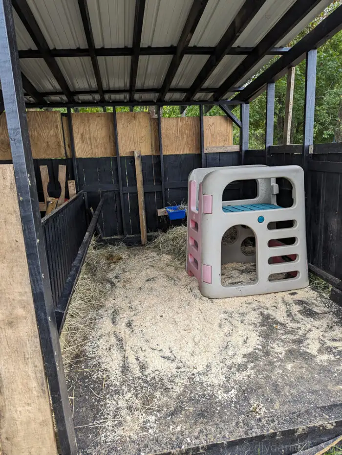Outdoor fenced run area connected to a wooden run-in shed, providing space for goats and sheep to graze.