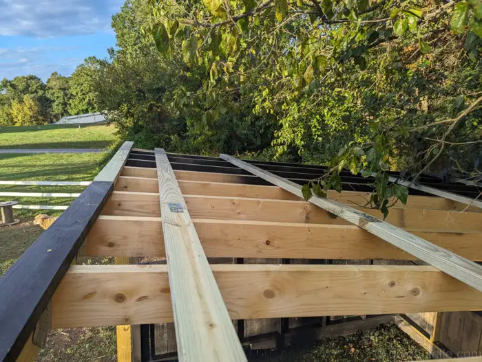 Wooden boards installed perpendicular across roof framing of a run-in shed.