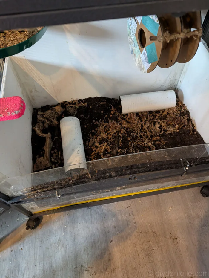 PVC pipes placed inside a small animal enclosure to serve as tunnels and hideouts.