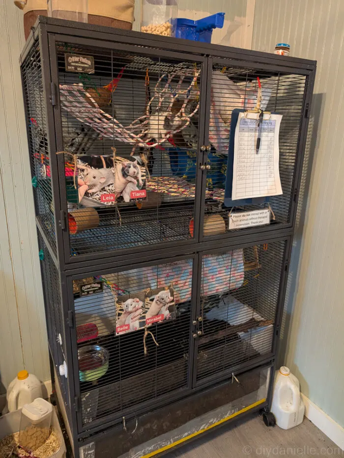 Front view of finished DIY Critter Nation digging enclosure with clear acrylic panel and PVC frame.