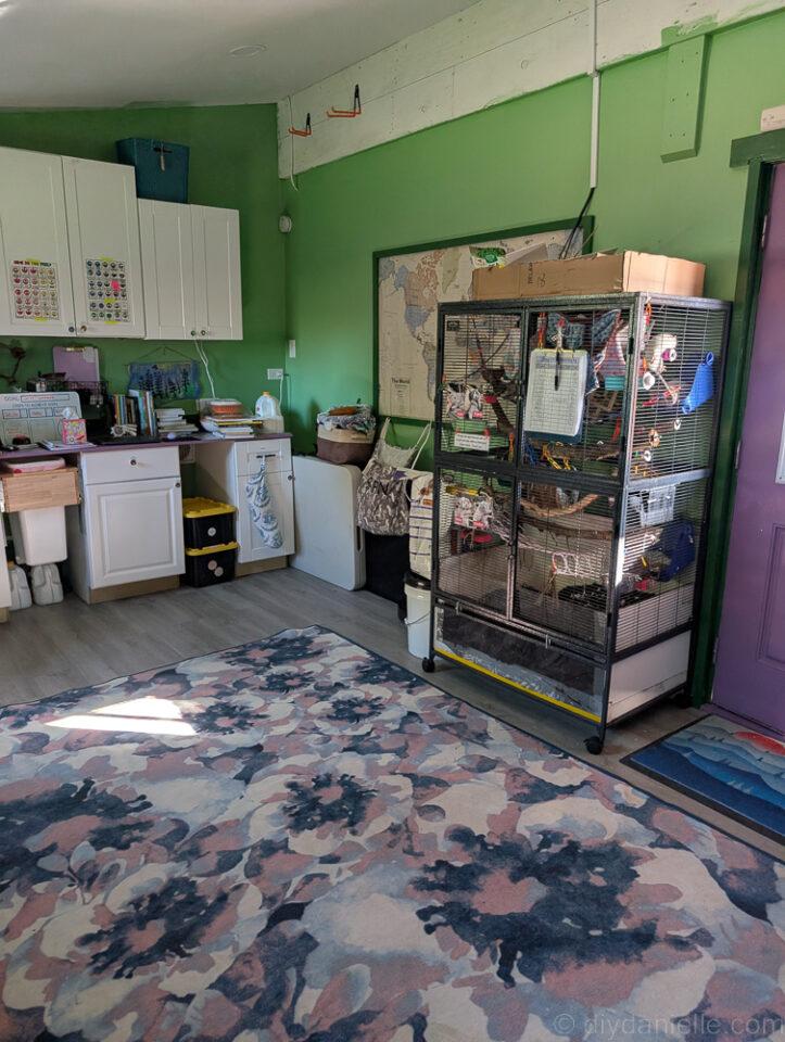 DIY Bioactive Rat Enclosure - DIY Danielle®