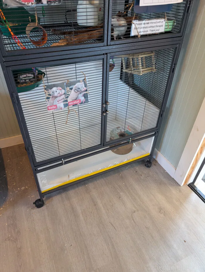 Waterproofing tape applied around the base of a cage to keep soil moist and prevent water damage.