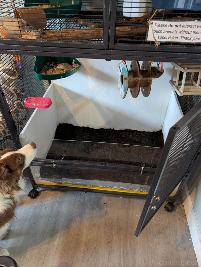 Mixing topsoil and compost by scooping to fill a DIY enclosure, with easy tips for adjusting amounts.