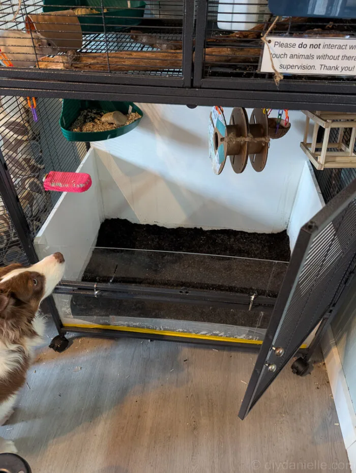 Mixing topsoil and compost by scooping to fill a DIY enclosure, with easy tips for adjusting amounts.